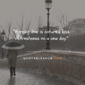 rainy days quotes